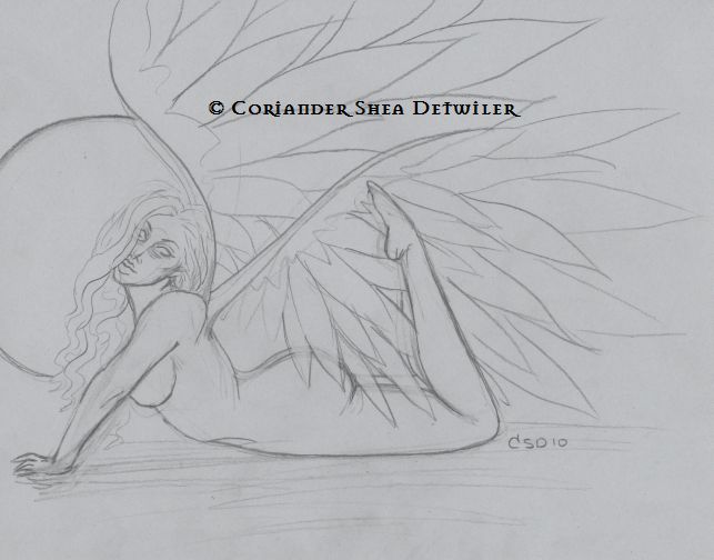 DEC Sketchfest Phoenyx Rose by Coriander Shea